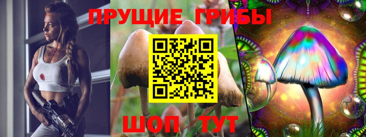 Галлюциногенные грибы Psilocybe  Вход с VPN  Галлюциногенные грибы Psilocybe  Ивантеевка 